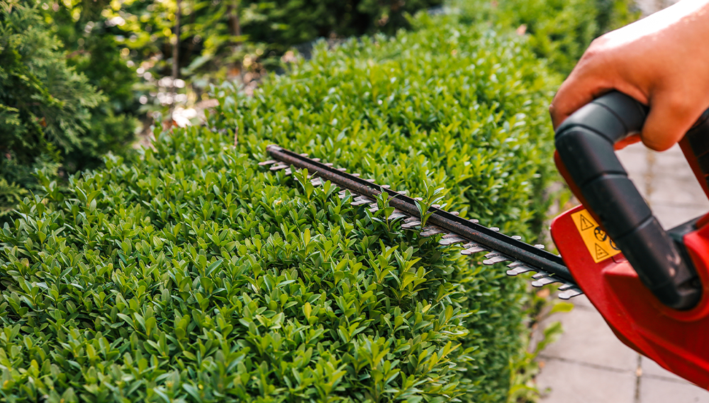 Outdoor Power Equipment