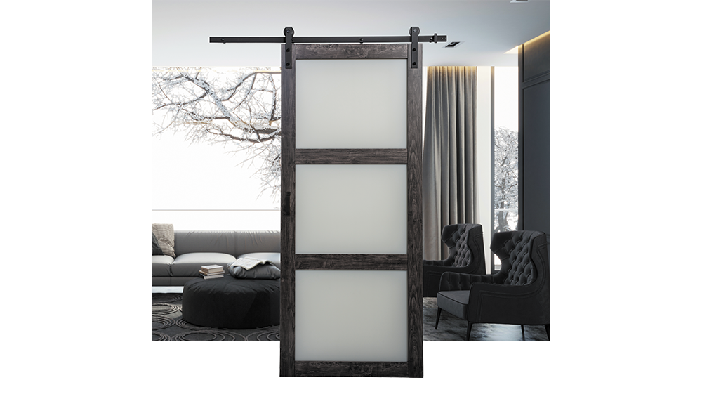 HALL 3LITE BARN DOOR