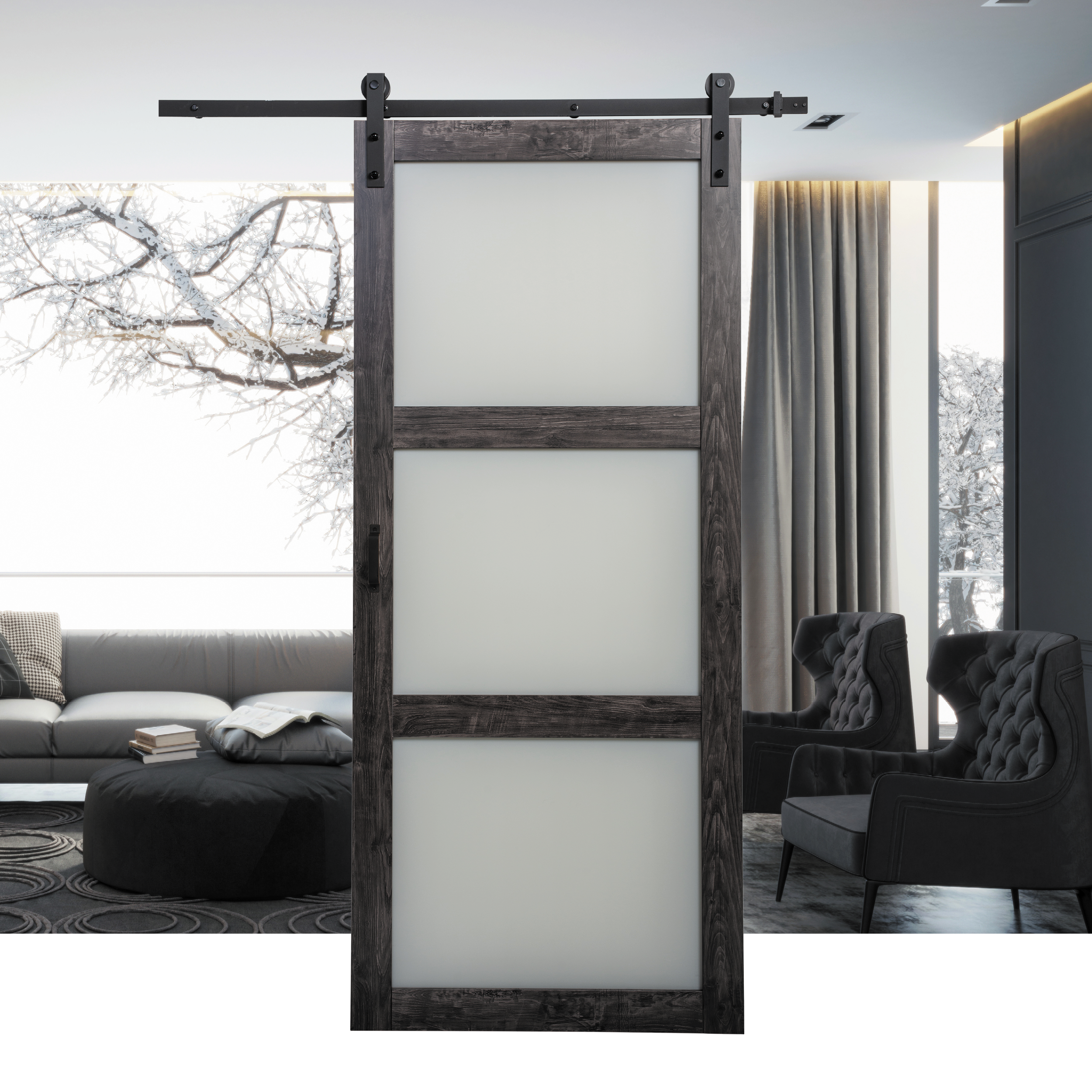 HALL 3LITE BARN DOOR
