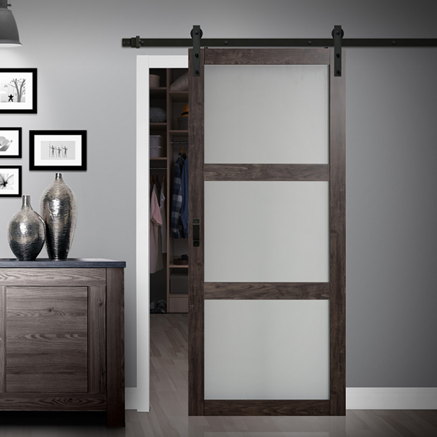 HALL 3LITE BARN DOOR